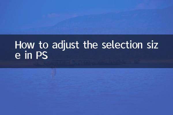 How to adjust the selection size in PS