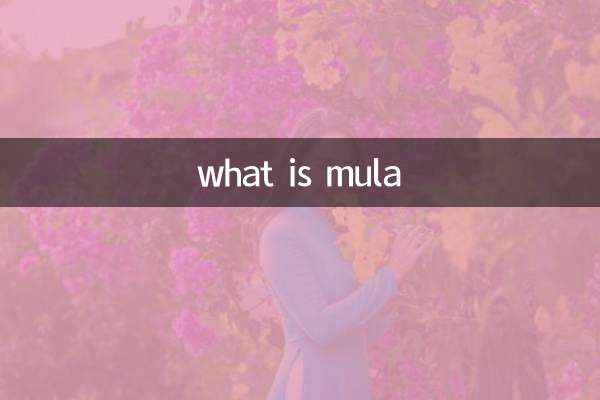what is mula