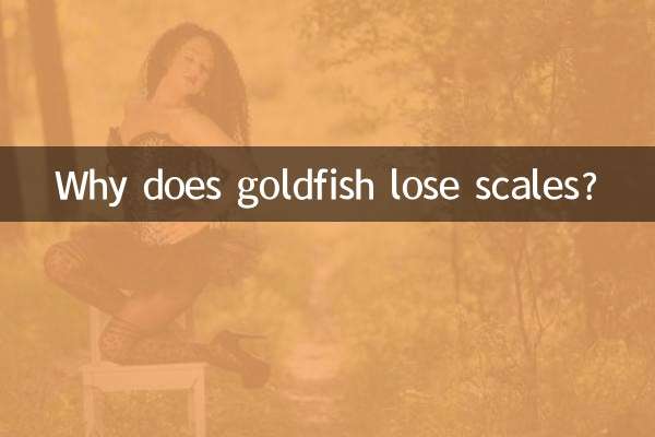 Why does goldfish lose scales?