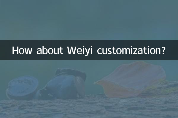 কিভাবে Weiyi কাস্টমাইজেশন সম্পর্কে?