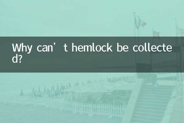 Why can’t hemlock be collected?