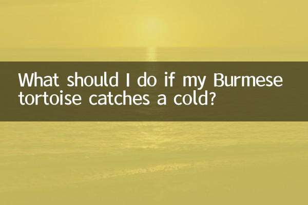 Cosa devo fare se la mia tartaruga birmana prende il raffreddore?