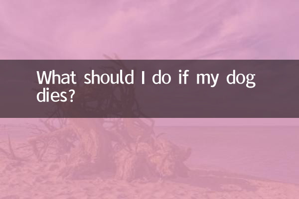 Cosa devo fare se il mio cane muore?