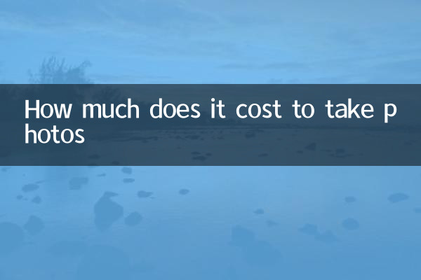 사진을 찍는 데 비용이 얼마나 드나요?