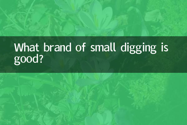 ছোট খনন কোন ব্র্যান্ড ভাল?