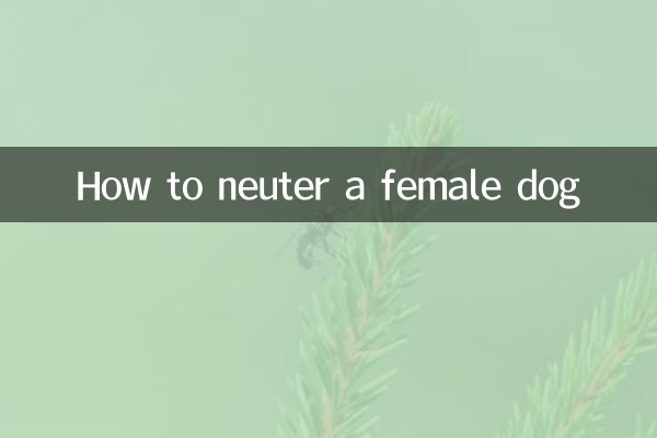 Wie man eine Hündin kastriert