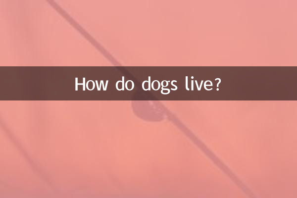 কুকুর কিভাবে বাঁচে?