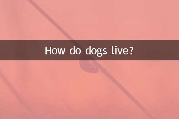 কুকুর কিভাবে বাঁচে?