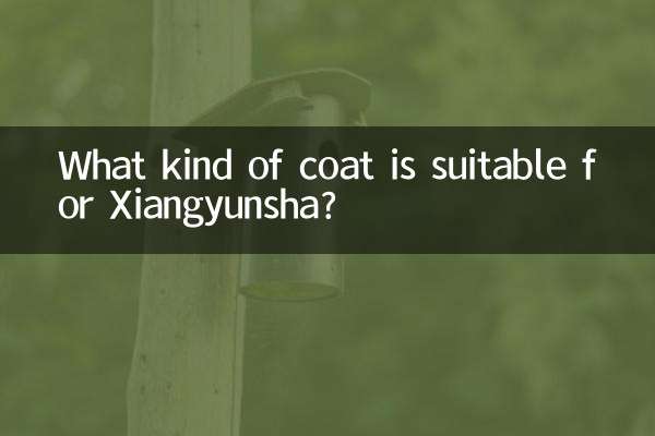 祥雲社にはどんなコートが似合うのでしょうか？