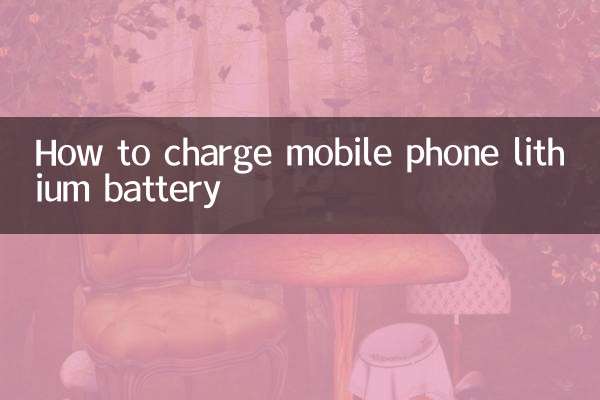 手机锂电池怎么充电