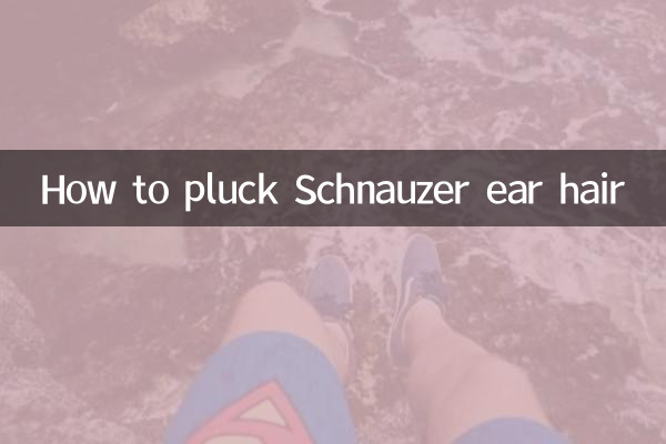 Como arrancar os pelos da orelha do Schnauzer