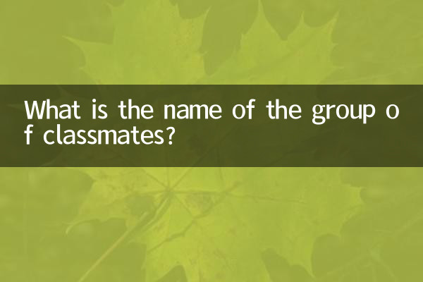 Wie heißt die Mitschülergruppe?