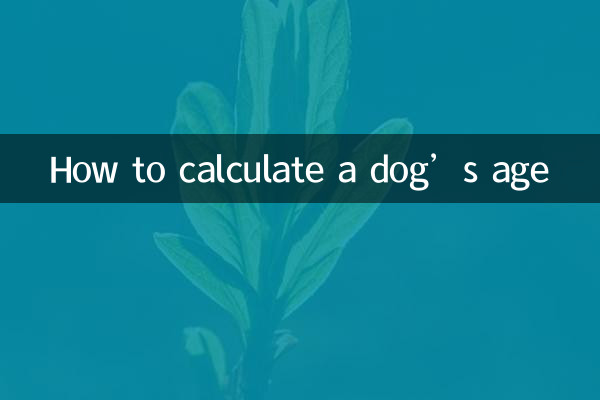 Как рассчитать возраст собаки