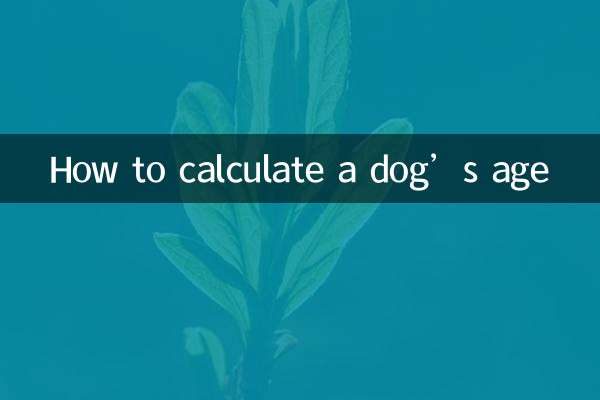 Как рассчитать возраст собаки