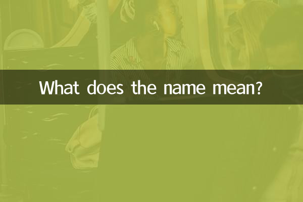 이름은 무엇을 의미합니까?