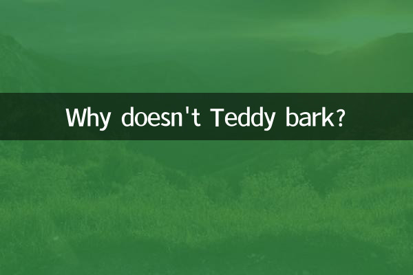 কেন টেডি ছাল না?