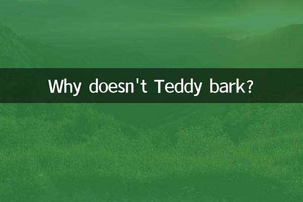 Warum bellt Teddy nicht?