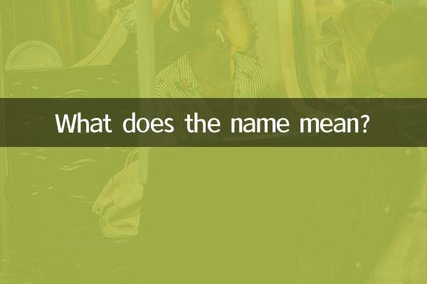 이름은 무엇을 의미합니까?