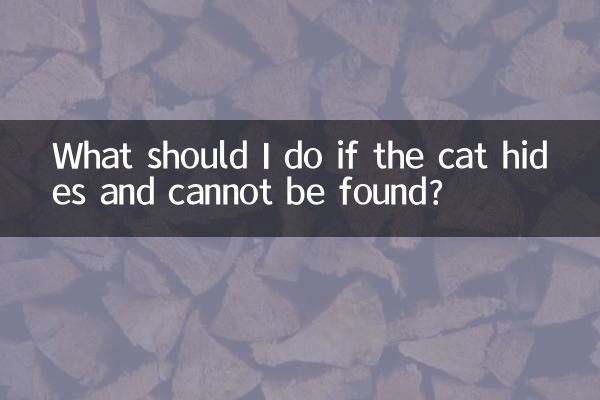 What should I do if the cat hides and cannot be found?