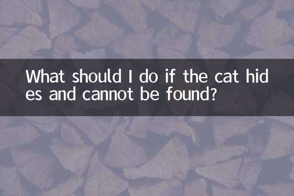 What should I do if the cat hides and cannot be found?