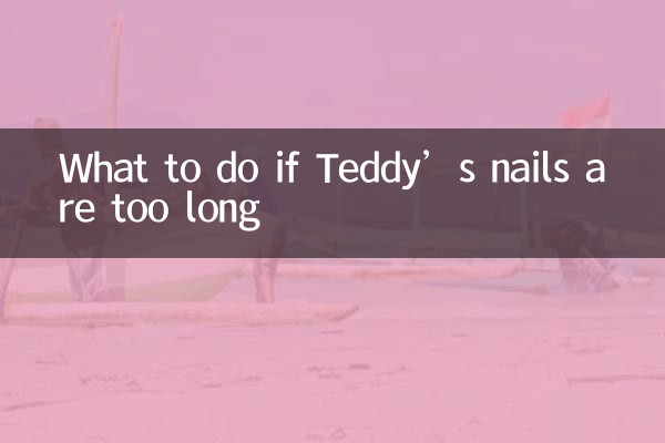 What to do if Teddy’s nails are too long