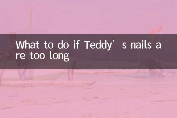 What to do if Teddy’s nails are too long