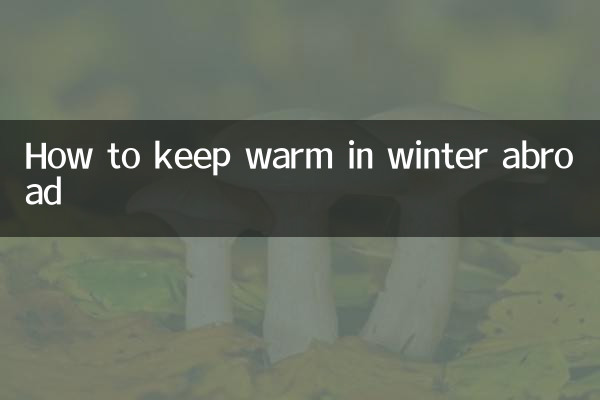 Как согреться зимой за границей
