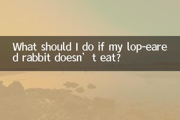 اگر میرا لوپ کان والا خرگوش نہیں کھاتا ہے تو مجھے کیا کرنا چاہئے؟