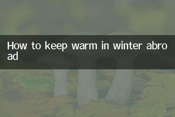 Как согреться зимой за границей