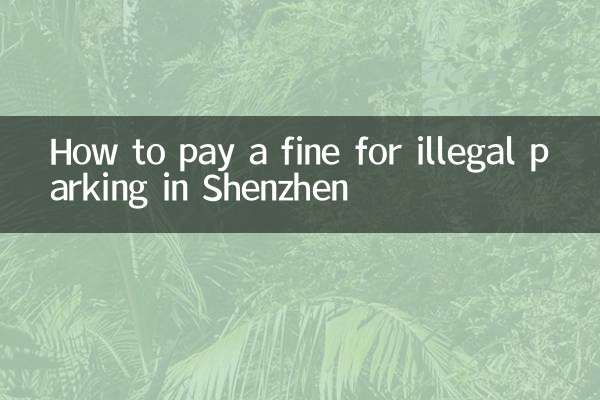 نحوه پرداخت جریمه پارک غیرقانونی در شنژن