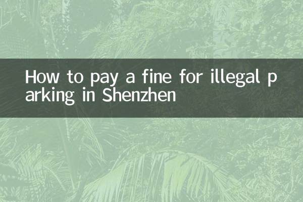 Como pagar multa por estacionamento ilegal em Shenzhen