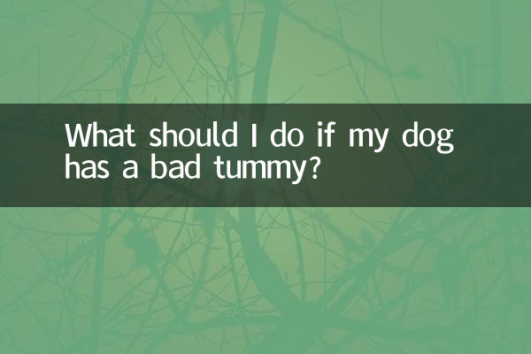 Что делать, если у моей собаки болит живот?