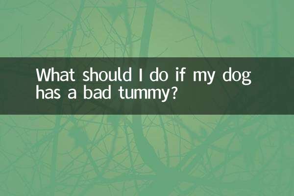 Что делать, если у моей собаки болит живот?