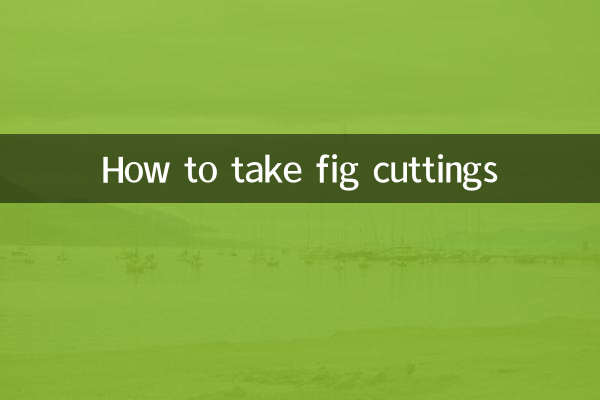 انجیر کٹنگز کیسے لیں