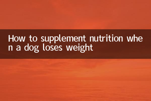 Como complementar a nutrição quando um cachorro perde peso