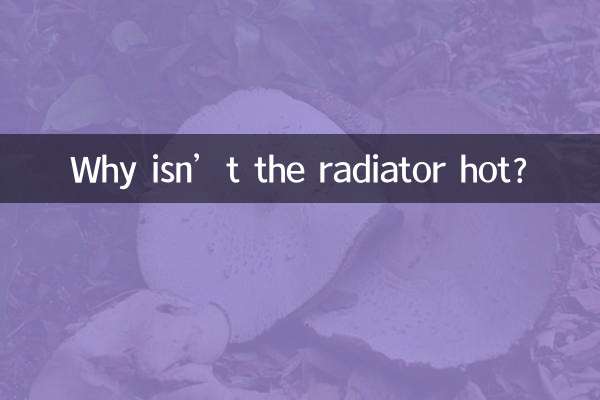 ریڈی ایٹر گرم کیوں نہیں ہے؟