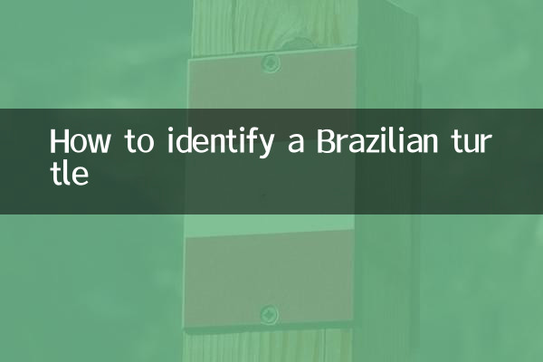 How to identify a Brazilian turtle