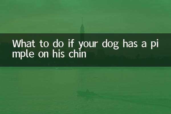 अगर आपके कुत्ते की ठुड्डी पर फुंसी हो तो क्या करें?