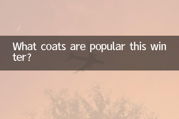 Quels manteaux sont populaires cet hiver ?