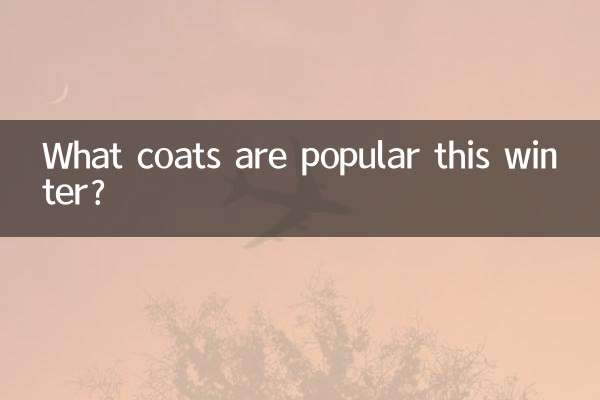 چه مانتوهایی در این زمستان محبوب هستند؟