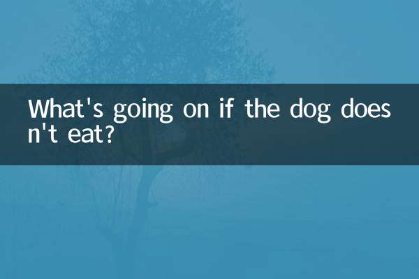 اگر کتا نہیں کھاتا ہے تو کیا ہو رہا ہے؟