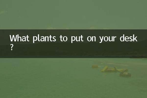 办公桌放什么植物