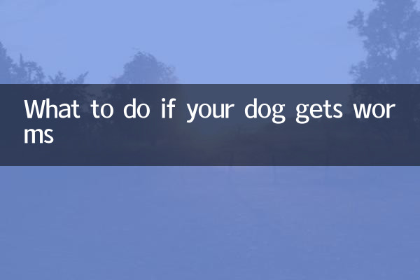 Cosa fare se il tuo cane prende i vermi