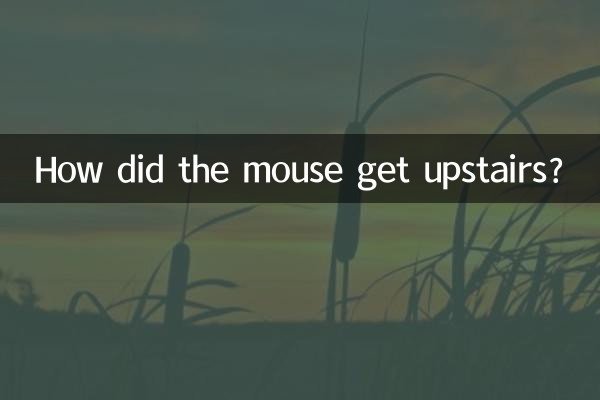 ¿Cómo llegó el ratón arriba?