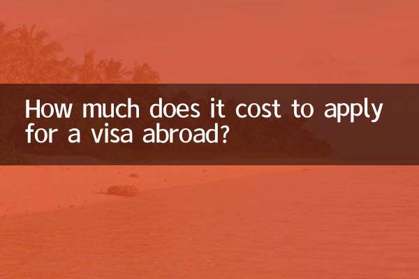 Сколько стоит подать заявление на визу за границу?