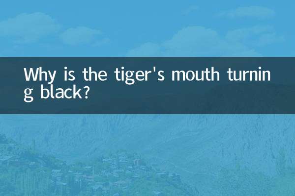 ¿Por qué la boca del tigre se pone negra?