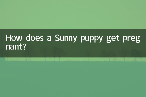 Como uma cachorrinha Sunny engravida?