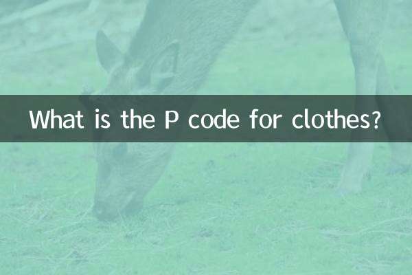衣服p码是什么