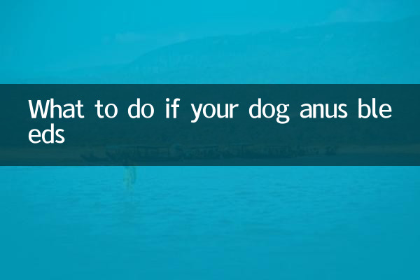 Que faire si l'anus de votre chien saigne