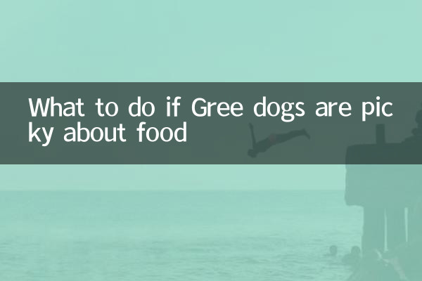 O que fazer se os cães gream forem exigentes com comida